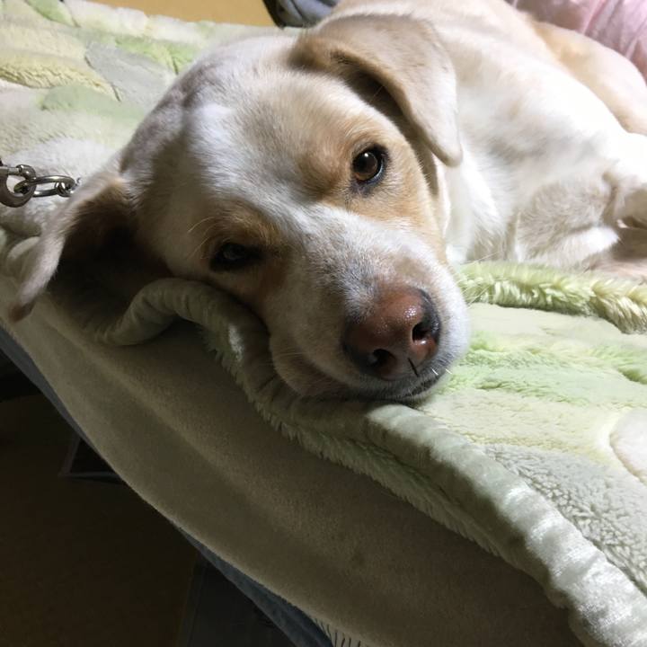 E9cbf6f6 fa4b 4bc6 8041 b15733aed6d0 1516016779739