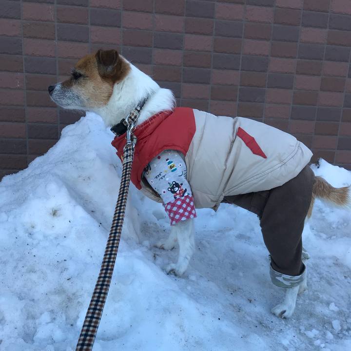 E9cc3b30 42cb 4bb0 a3d3 fb31d3a57ba1 1517098488993