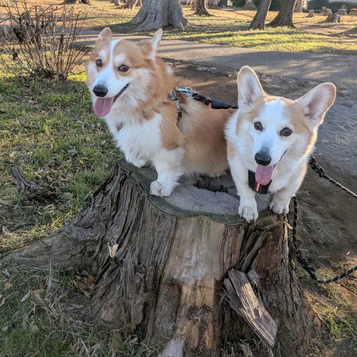 E9cc8c87 fca9 4eb8 8a6e 4f71e8a16c3b 1768534286489