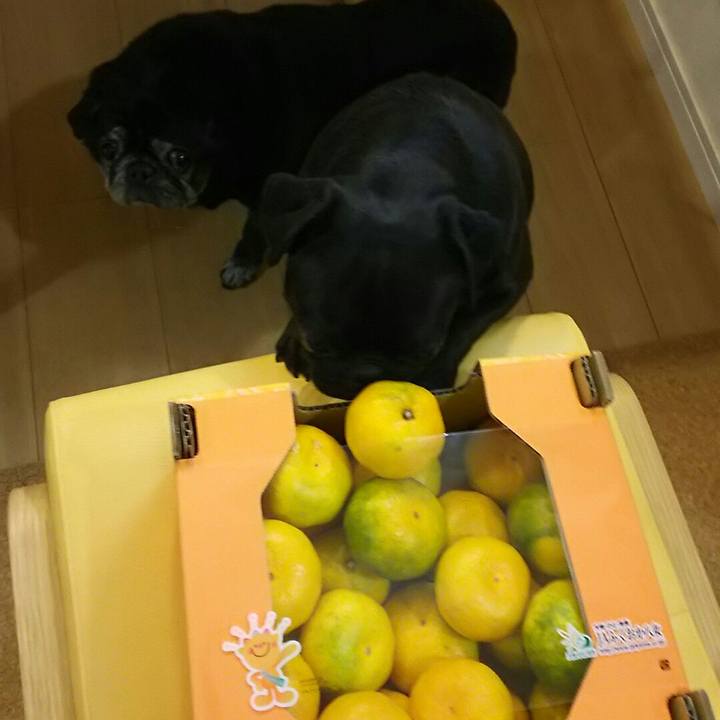 E9cc8da8 b55d 47a4 8139 fc04ff4c63be 1538282860333