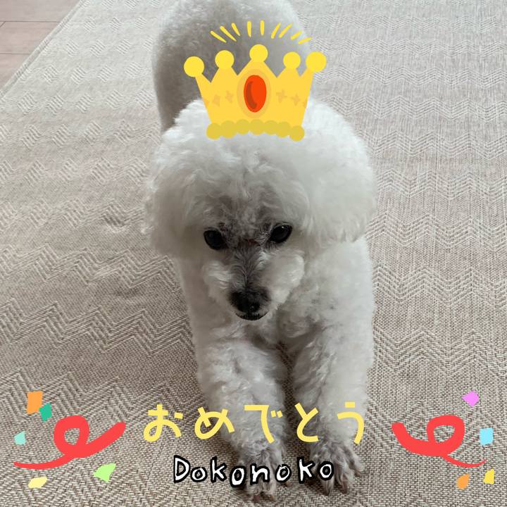 E9ccd590 0f77 492b a998 23c008639ed6 1685965516146