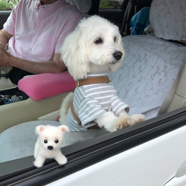 E9ccdb9e 15e4 4a0e 8b27 cacf6e8ab649 1533210431007