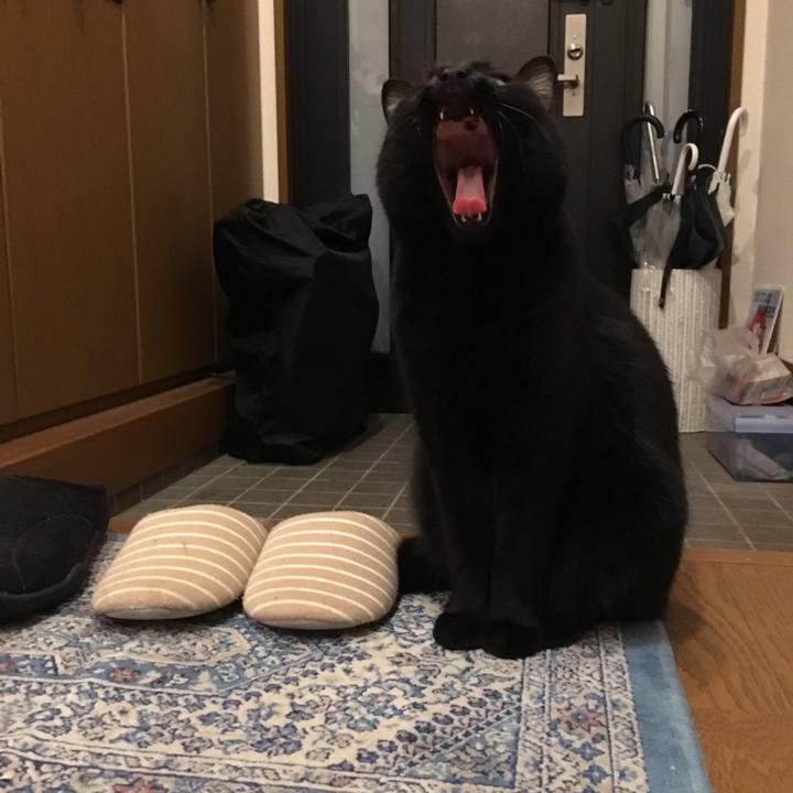 E9cce96c 1993 4e12 8bc2 c59ef299068d 1512980447213