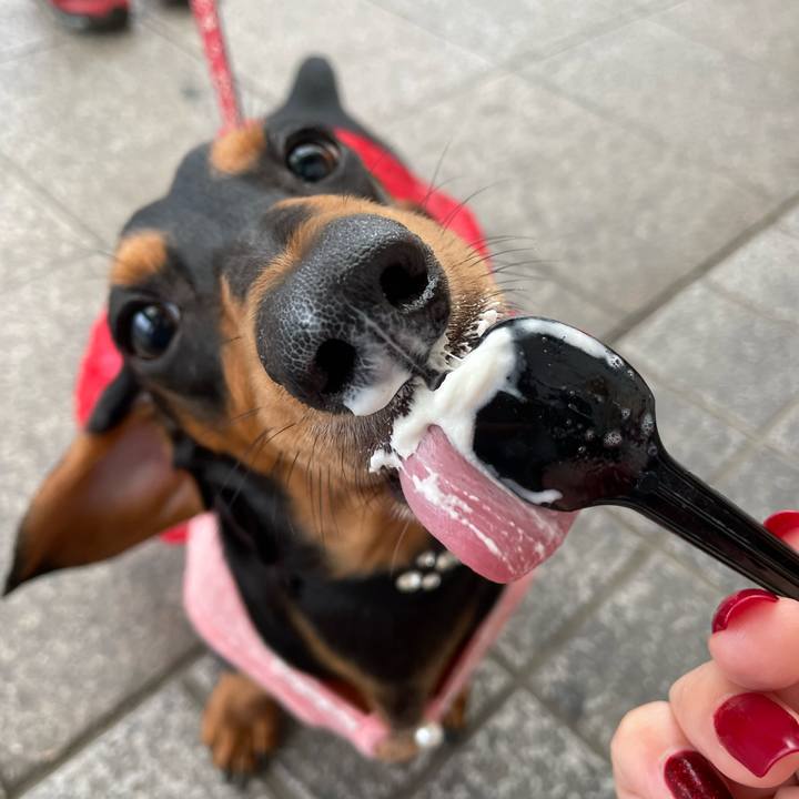 E9ccfe2e 8a63 4126 9c1a d76875a6b64b 1650011699868