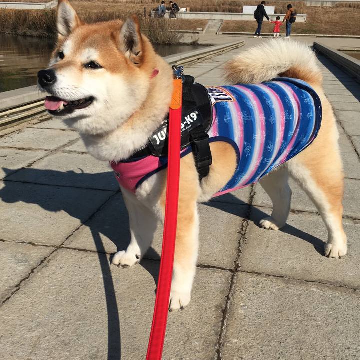 E9cd026a a216 4f07 96b6 876987ebb046 1576316539302