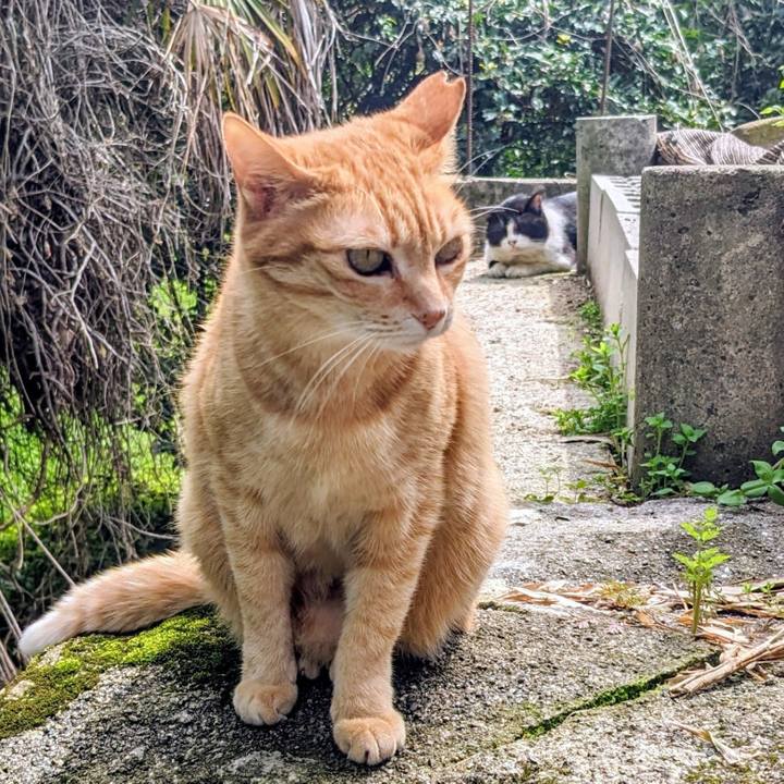 E9cd1726 2e6a 49d1 bcef 4244a15a8a57 1775548442765