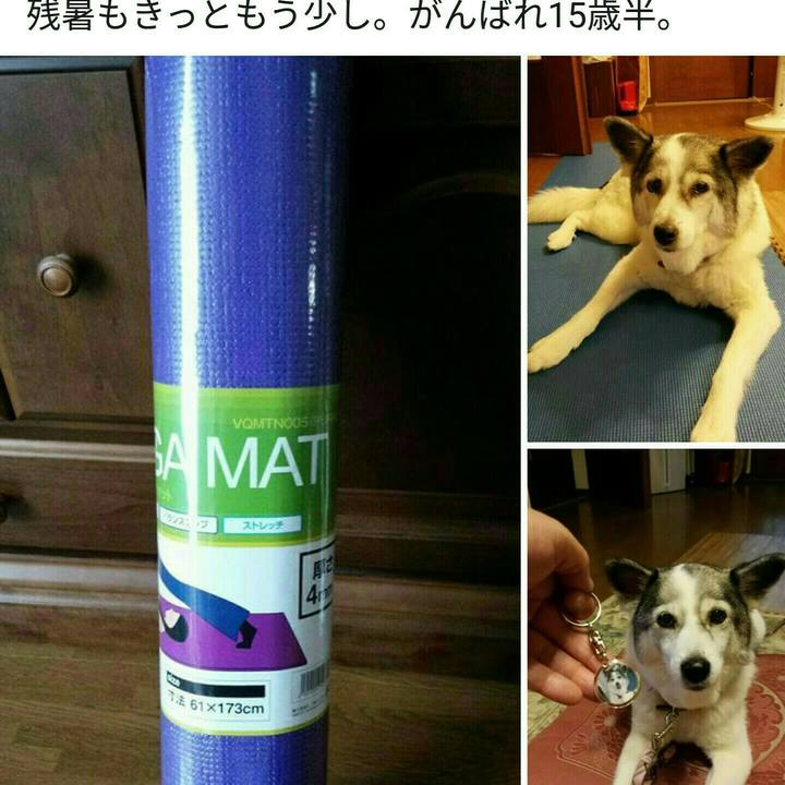 E9cd321c c9a2 482a 88ea fac9475b15f5 1534547749429