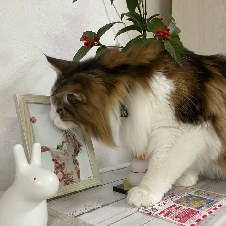 E9cd454c 5ad7 455c 9919 5ac3449fcb10 1672608737887