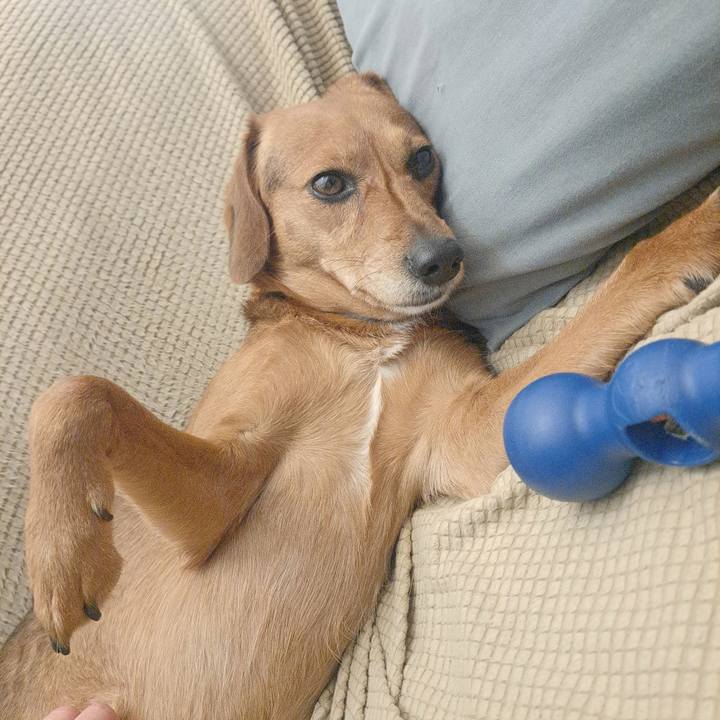 E9cd6f02 71cf 44bc 8c15 02fb356dd73e 1771365110209