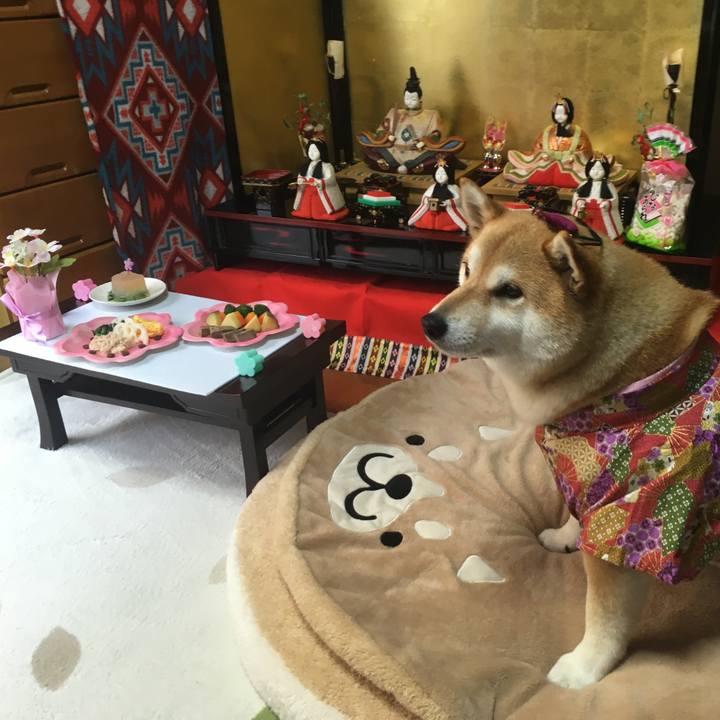 E9cd9f4f 07b7 43a6 853d 67ded8f5be94 1551605626026