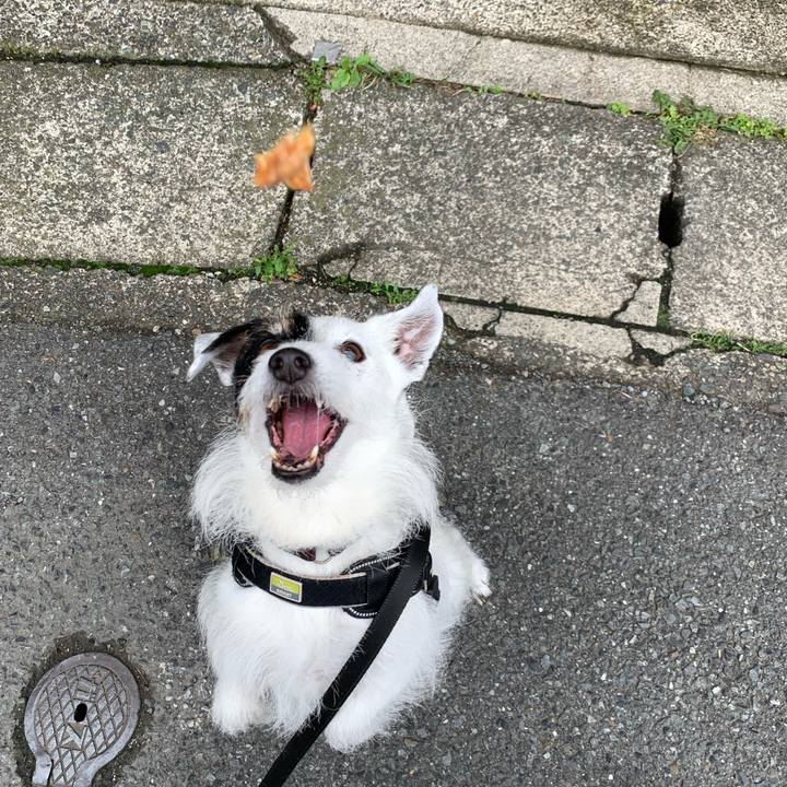 E9cdb865 a89a 48b5 b9b8 04eef4392758 1747531561901