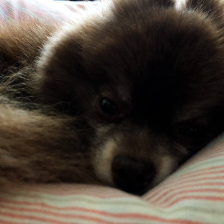 E9ce0134 d781 4e19 9d71 bcc1f2656d0e 1559454051094