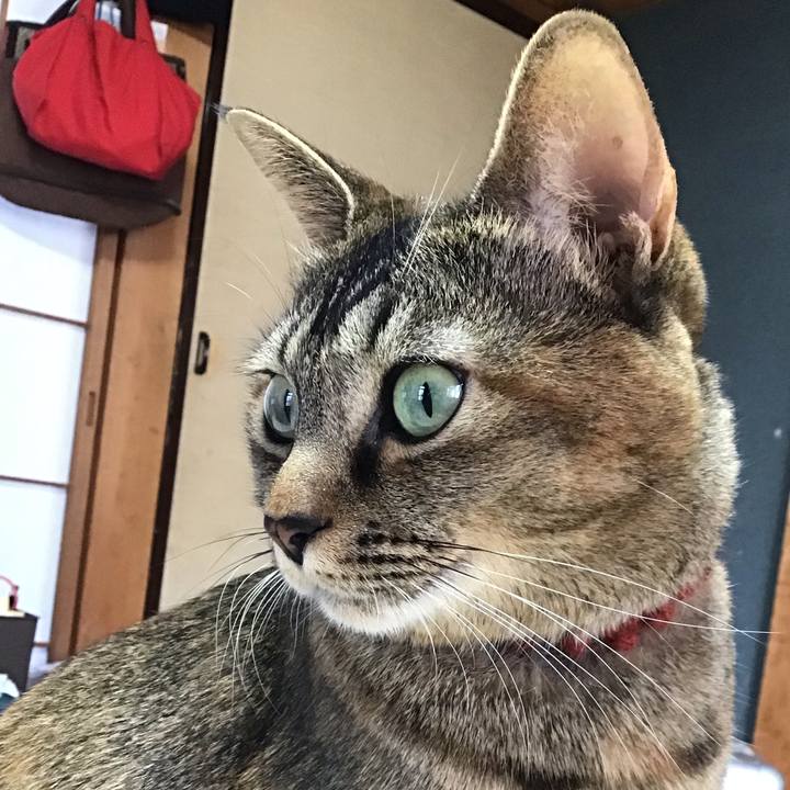 E9ce1c02 eb4f 42c7 ad36 2264c38f4f7a 1637976521090