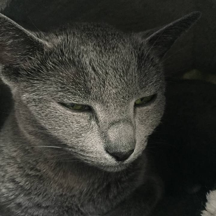 E9ce43e7 ba73 43a0 aeba 49875b0b212d 1551829437751