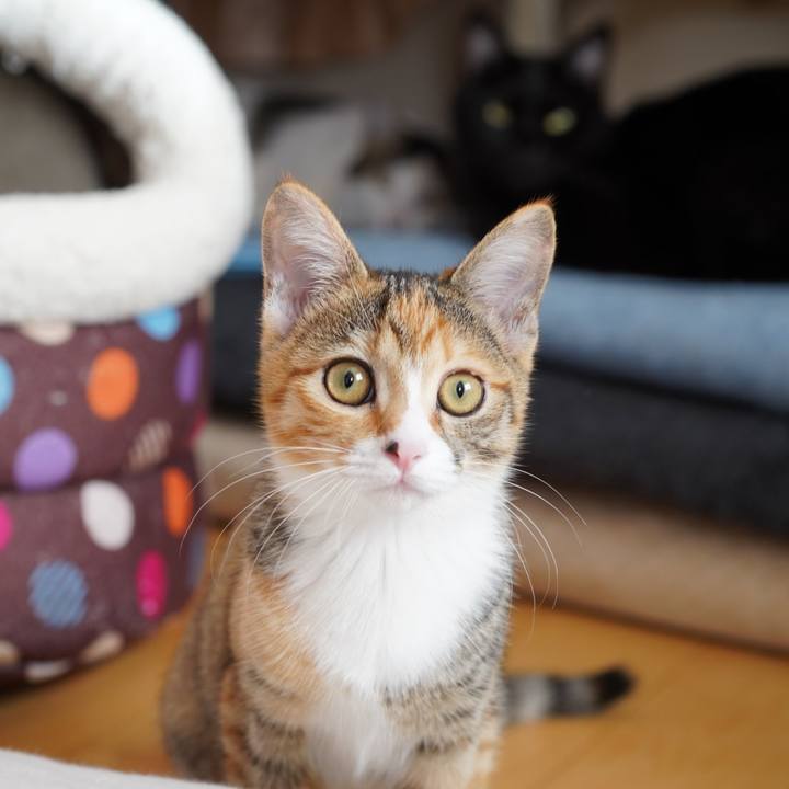 E9cea24e 568d 475b 83a7 6436825843c3 1573084585042