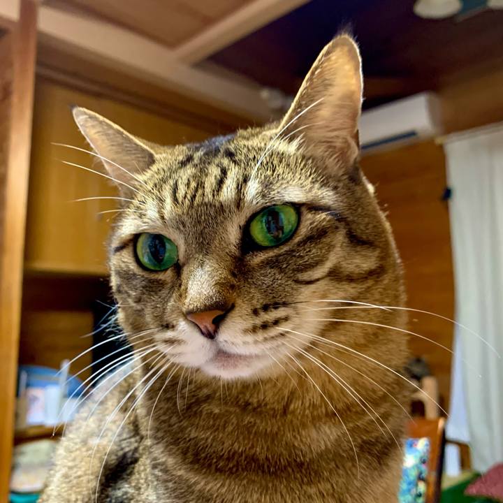 E9cef3db 8873 487a 9de4 b791bfeb5e67 1677329535677