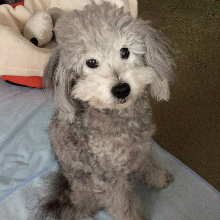 E9cf4970 d790 4d3f a262 4926065430e7 1519859540293