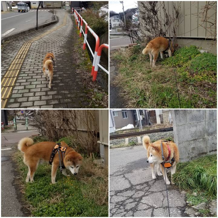 E9cf4c94 940a 4aa6 b4cd ef75a3cbba7a 1743236662434