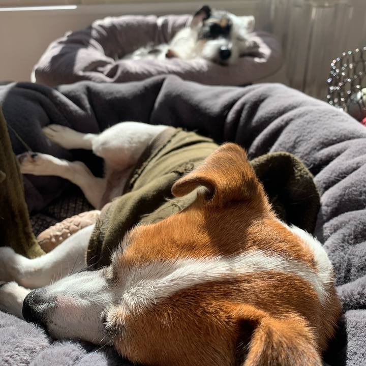 E9cf76c1 5a59 4df9 bec9 3fa1b2b76863 1605324711083