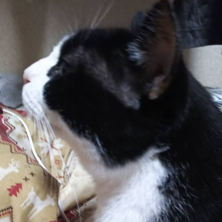 E9cf8ac7 f06e 4aea af83 2e617da943df 1568066040415