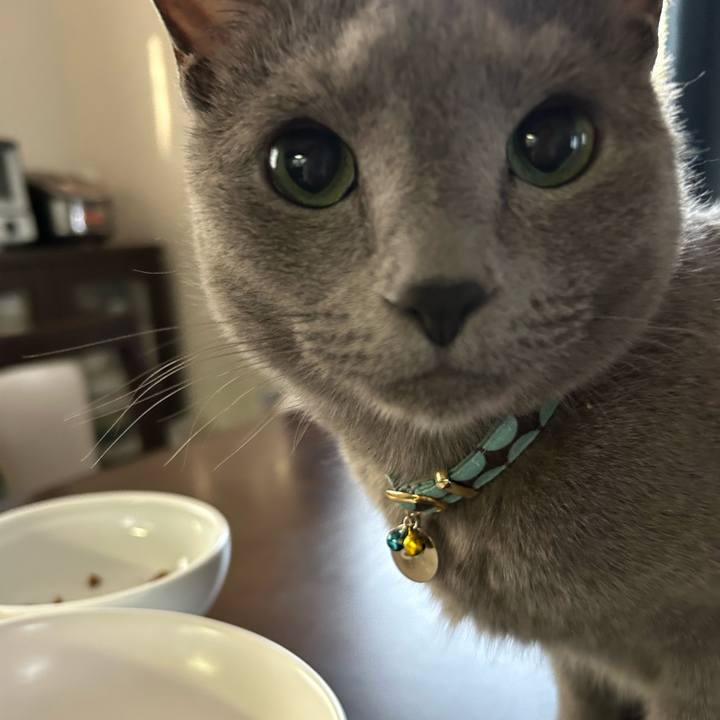 E9cf9610 5b1e 4cd3 8b68 f947ed0f89c4 1681165728053