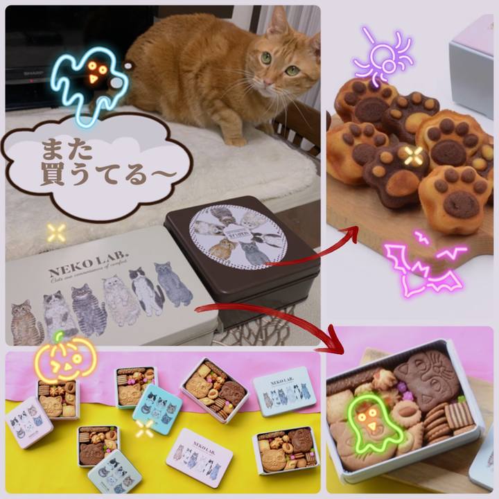 E9cfcab7 1db7 421e 9043 4319f07f6e5e 1635325426647