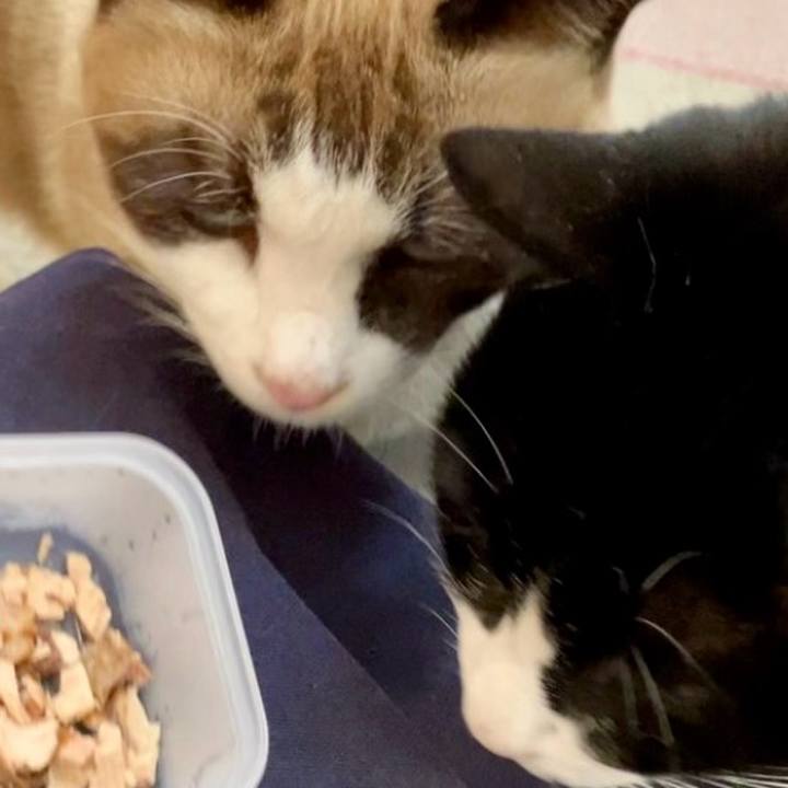 E9cfeca4 81e9 45b5 a968 e66794dd0480 1733805134006