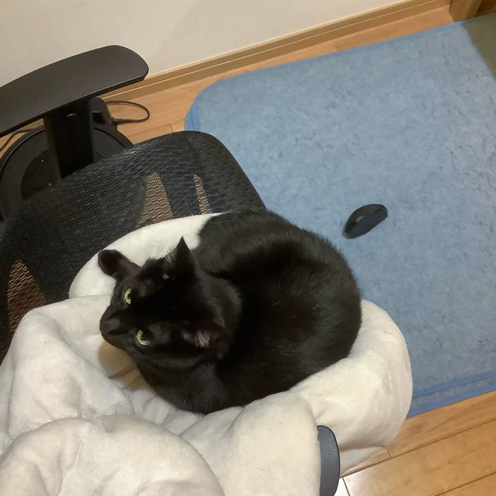 E9cff56c 9462 4366 99d2 7a91865c5f6d 1607431847564