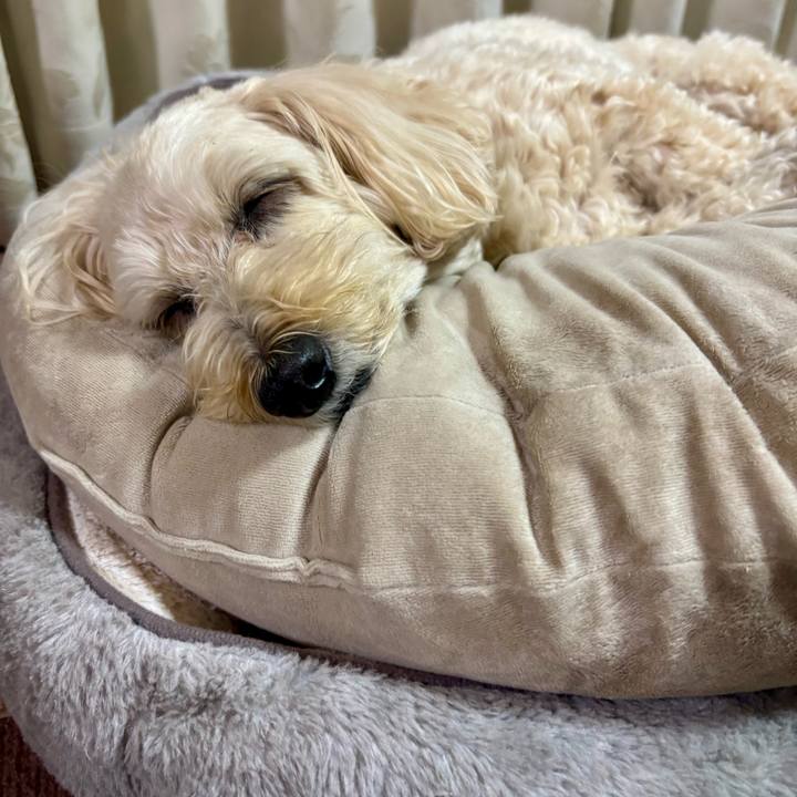 E9cffe8a 124b 4762 ae97 03765b05668a 1763094915947