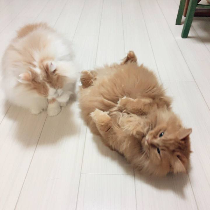 E9d05d90 02bb 48c8 9acf cfccf87eb993 1510347651290