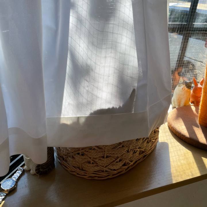 E9d0abc5 116b 473e acdc 05090929866f 1733620612503