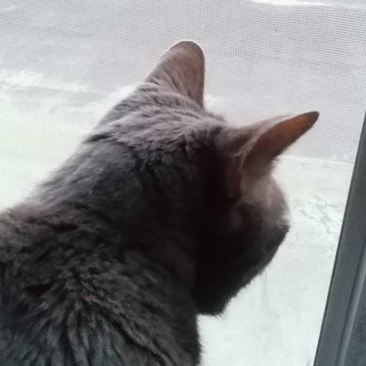 E9d0ade2 658a 41db b32b 77d63be07fb2 1683798127465