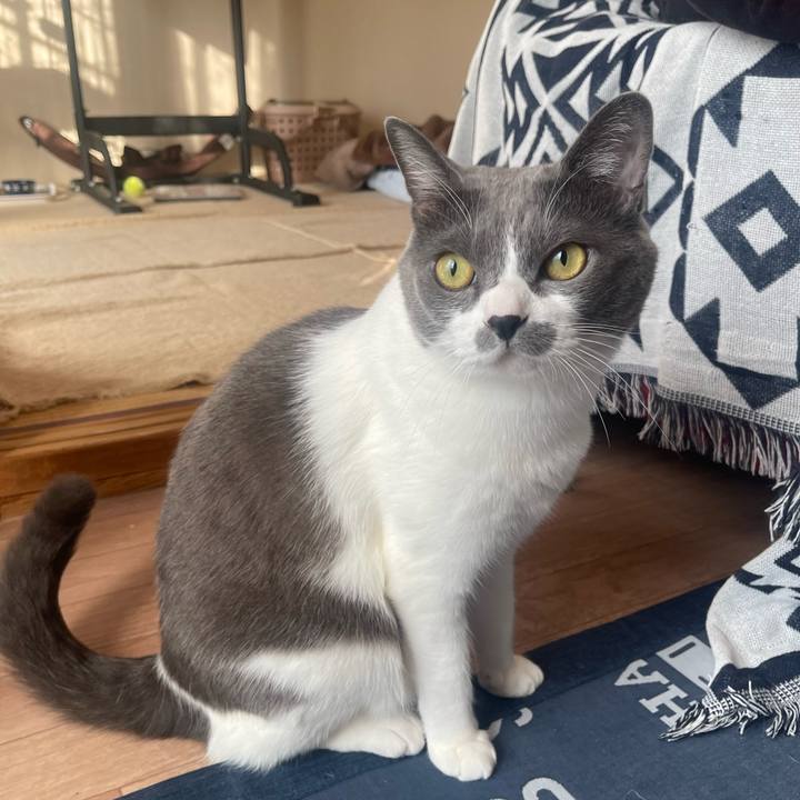 E9d0babe a76c 438a 9543 da1c25261a8f 1699139791986