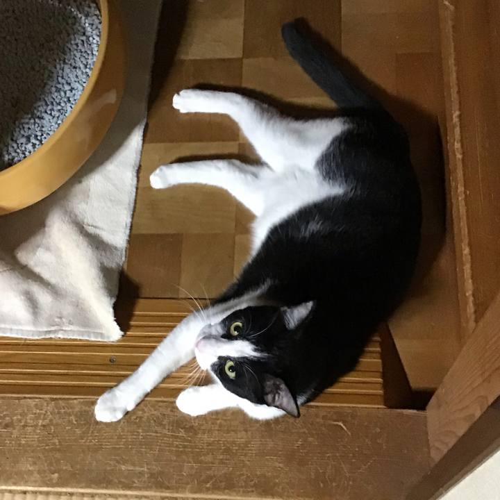 E9d0d40c 8d57 4527 8289 46d5be073f8c 1663160231315