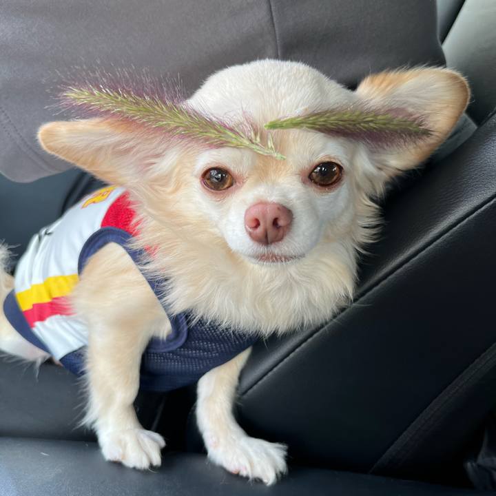 E9d0d82f 142f 466b 80b8 b75488fcd36f 1727505967552