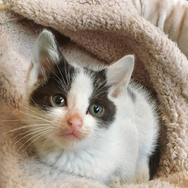 E9d0f061 3d2b 432a a70e 79b2a6832fca 1624071704364