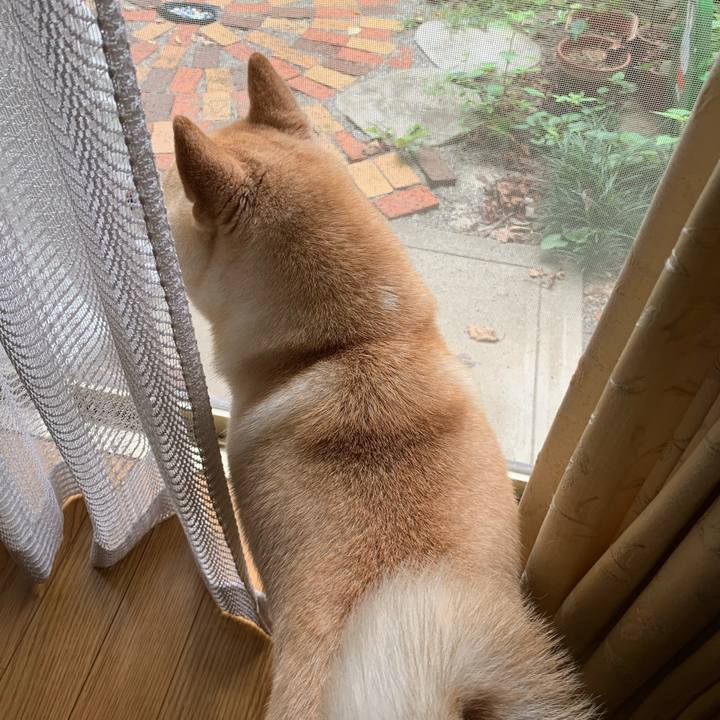 E9d11fe8 d83b 4694 b37a 1e3bcedf20c6 1631837892731