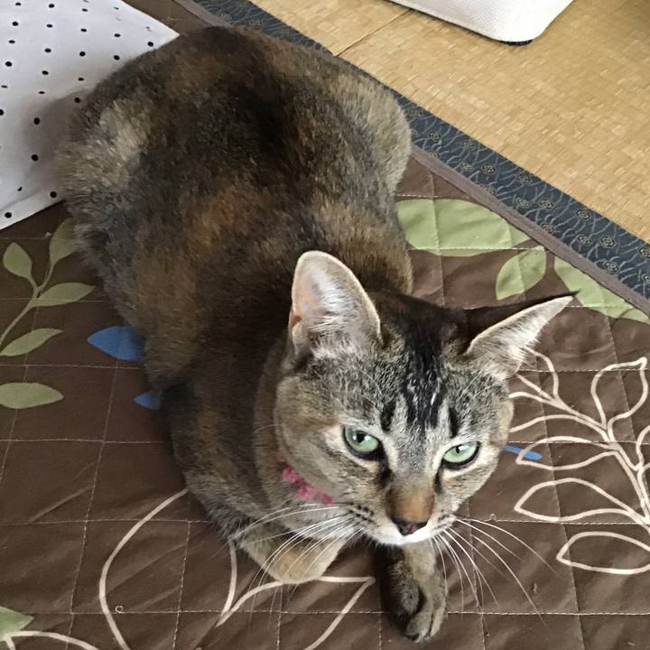 E9d12430 5b5d 42a8 b5c0 8bb6193f0038 1588982728128