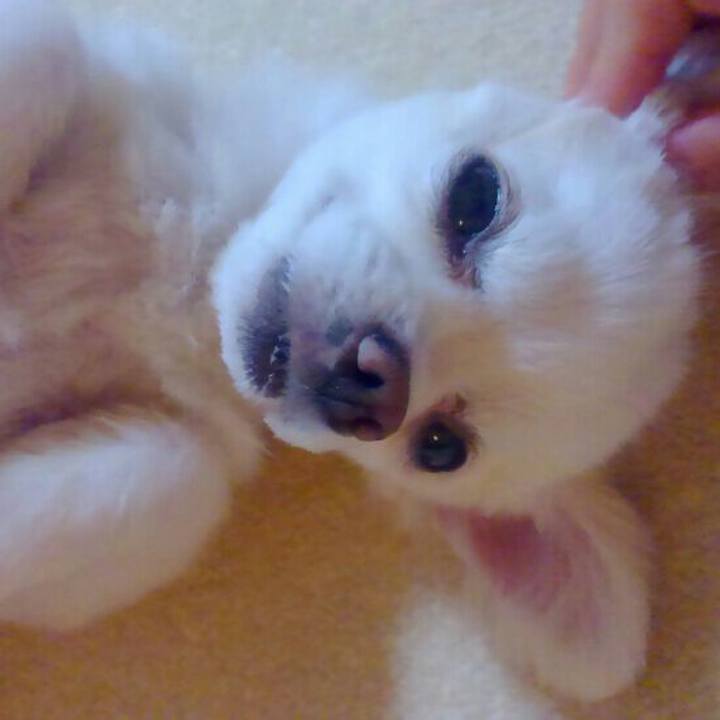 E9d1286b b4b2 48a9 8bf7 75199afc1380 1566304593328