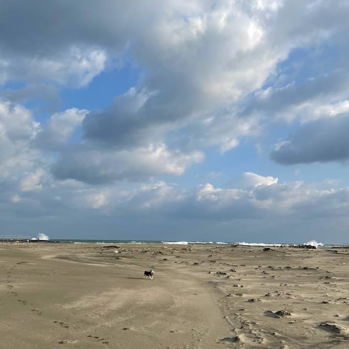 E9d194e7 b20a 42a0 aad4 8dda9abe85d2 1613001206378