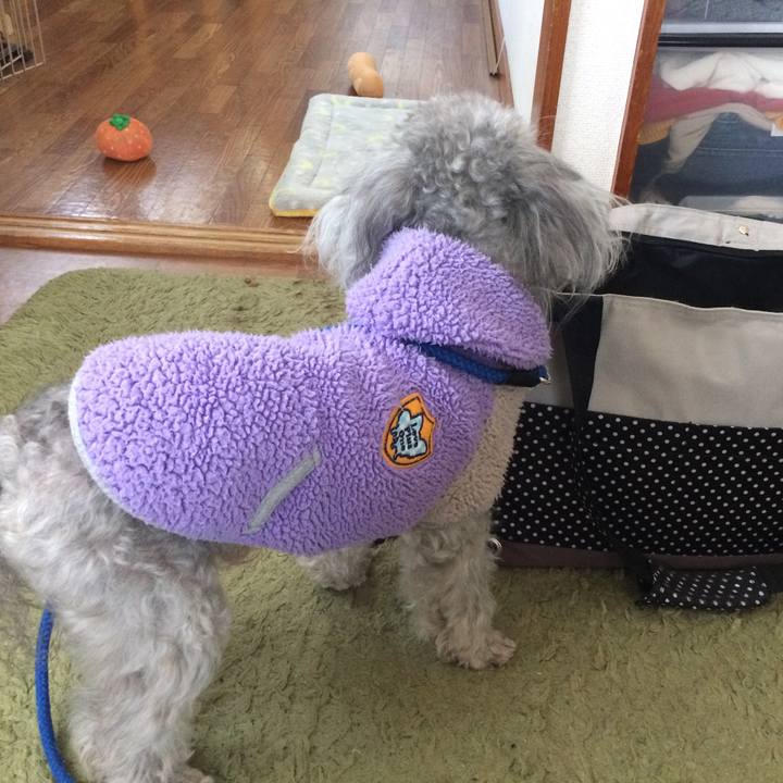 E9d1a167 8172 4044 8978 5532377feab3 1518950216092