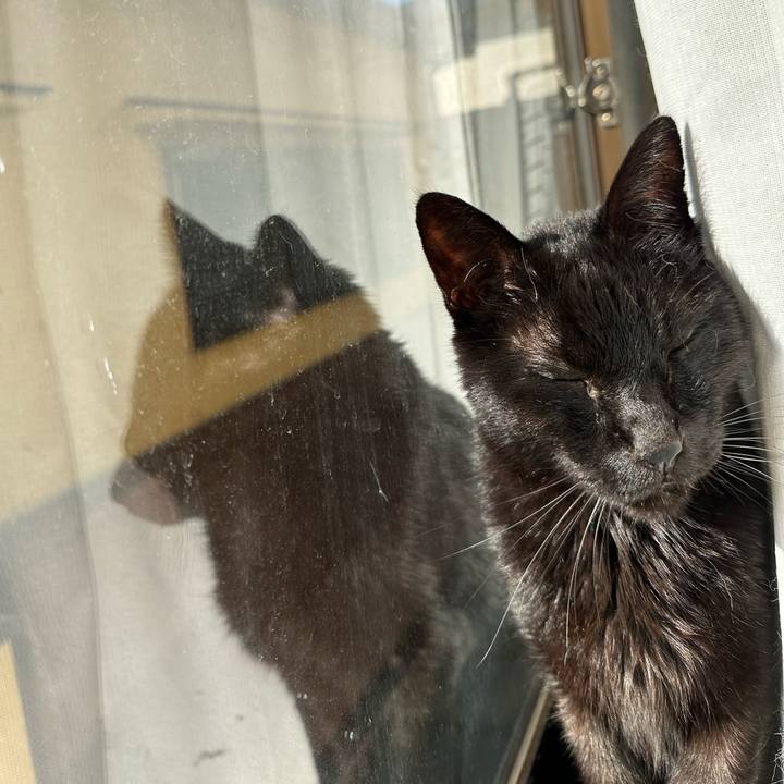 E9d1da27 fbcf 4726 911f e049c67035ef 1709342642171