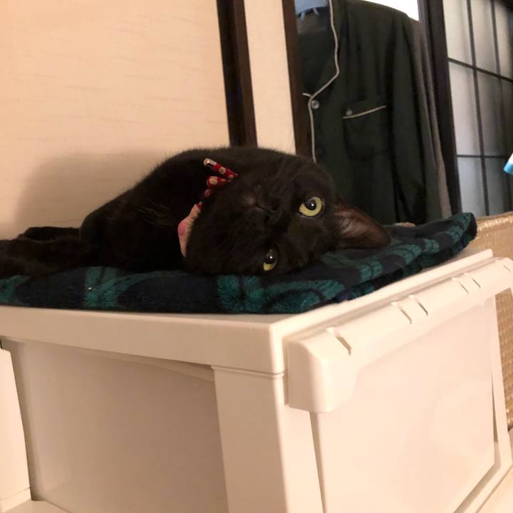 E9d20470 7923 41e8 9790 24ba5052a157 1610542734120