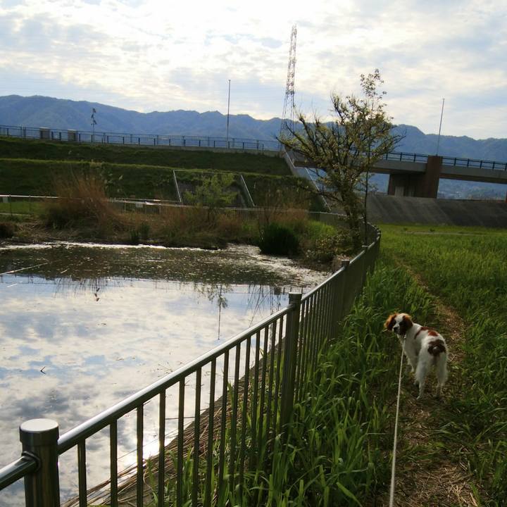 E9d20bd0 eead 4aa6 80ca bc31caac5d5e 1523709142324