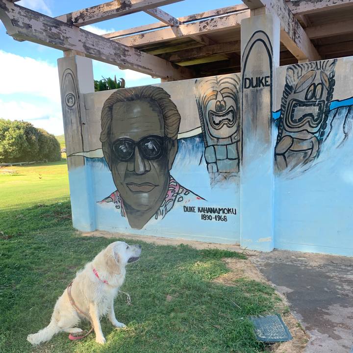 E9d27836 86a1 4654 b826 b1807a36bb81 1563413235734