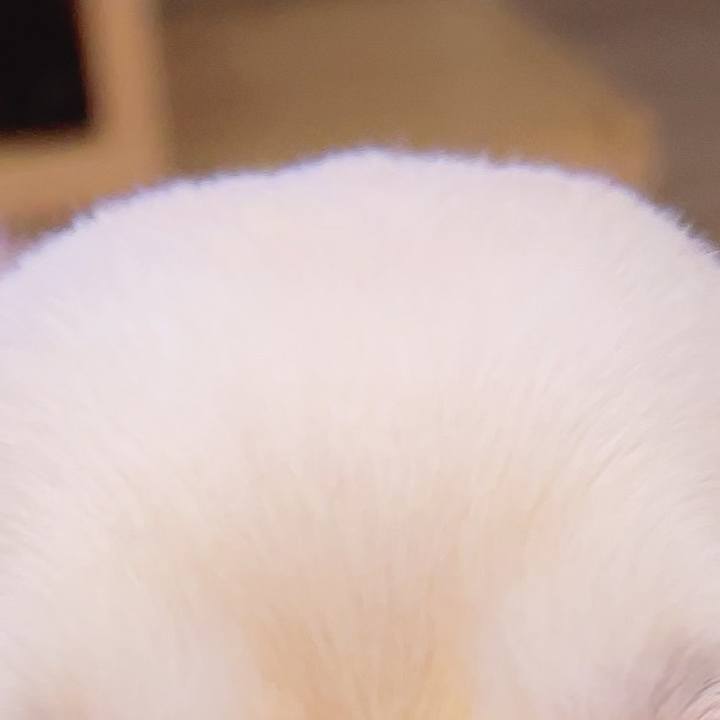 E9d28851 e452 4962 b3ee 2fe5401ade41 1689321381211