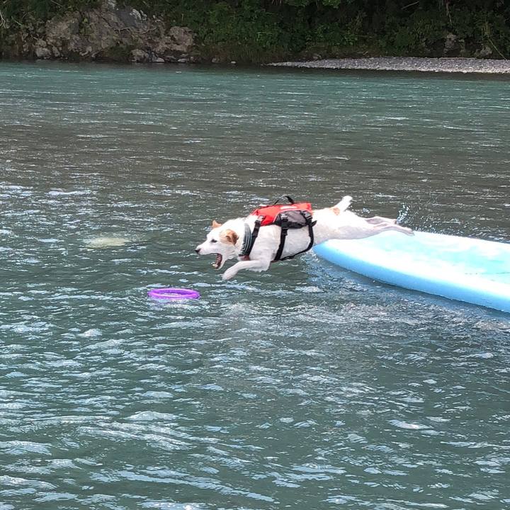 E9d2a7a4 a8b3 4cbb b305 f5c2601b22cd 1532167718305