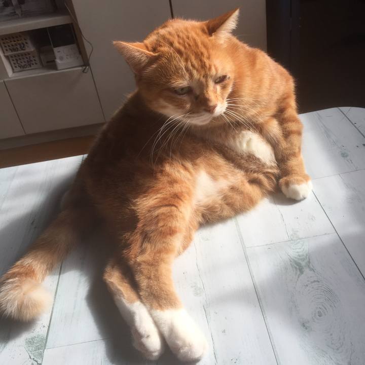 E9d2d6b4 2426 4ce7 8802 3f1a2c7caf97 1572745129223