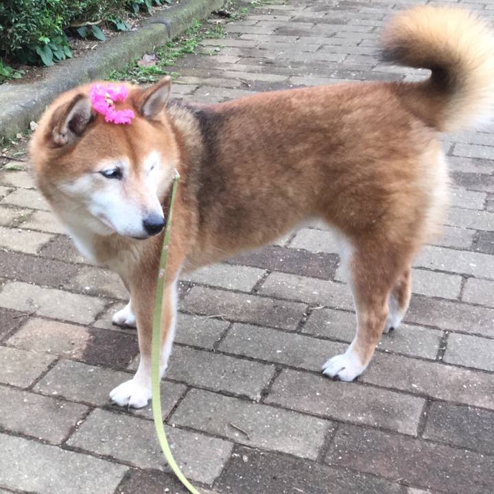 E9d2e382 5a1a 4cc0 86db 5ecf0f713a8d 1600849947064