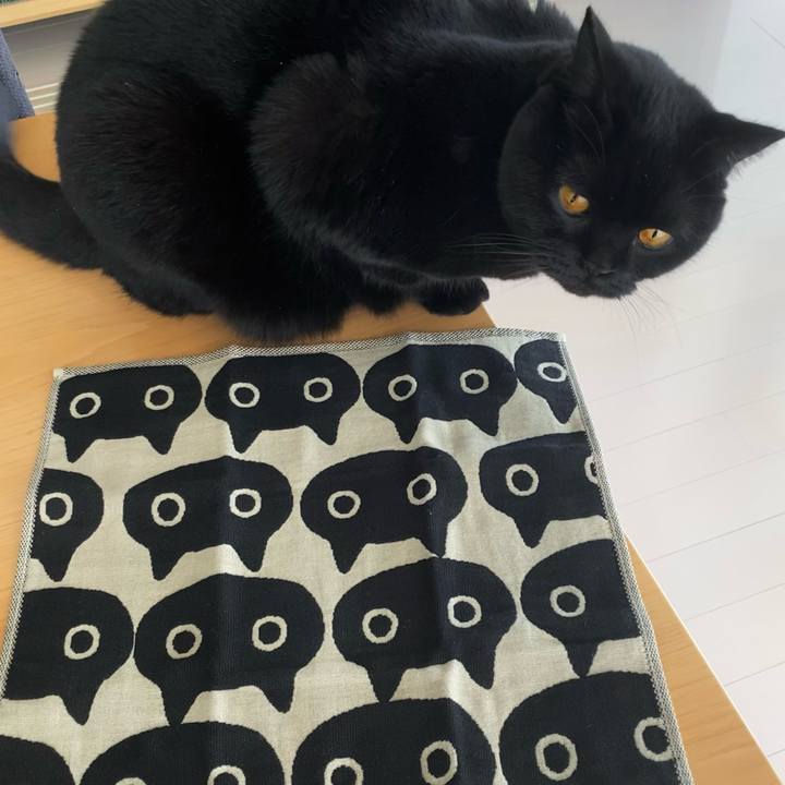 E9d312a3 9ad2 4cba 93b6 4b9593227bdc 1606876292930